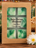 Baja Cactus Blossom Wax Melts